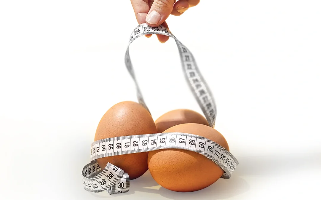 Como incluir os ovos na sua dieta em 2026