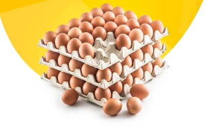 Ovos caseiros vs ovos industriais: qual a diferença?