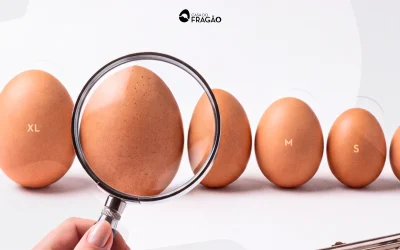 Como escolhemos e classificamos os Ovos